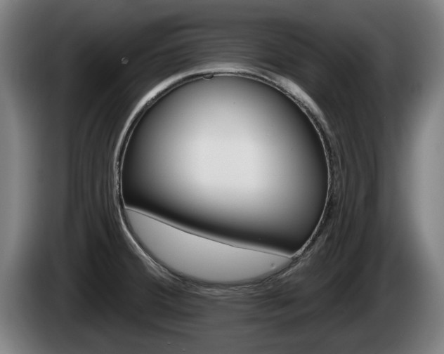 X0000085221380200703090819