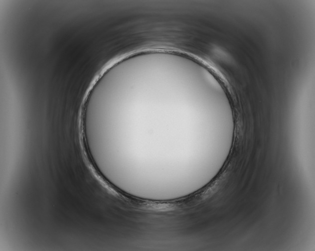X0000085221382200703090819