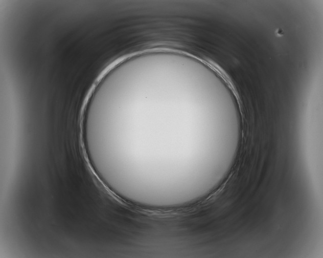 X0000085221384200703090819