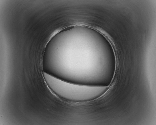 X0000085221385200703090819