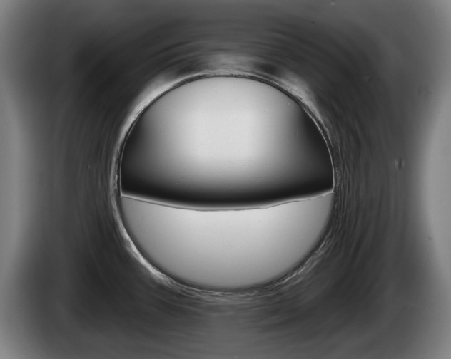 X0000085221387200703090818