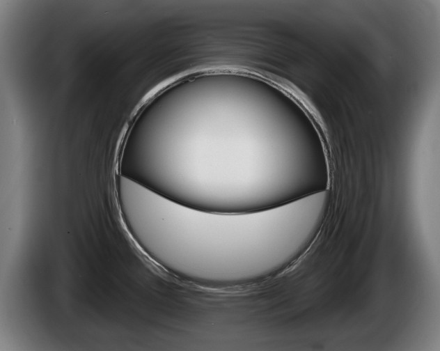 X0000085221388200703090818