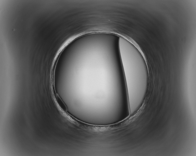 X0000085221389200703090818