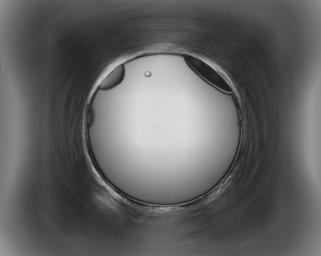X0000085221390200703090818