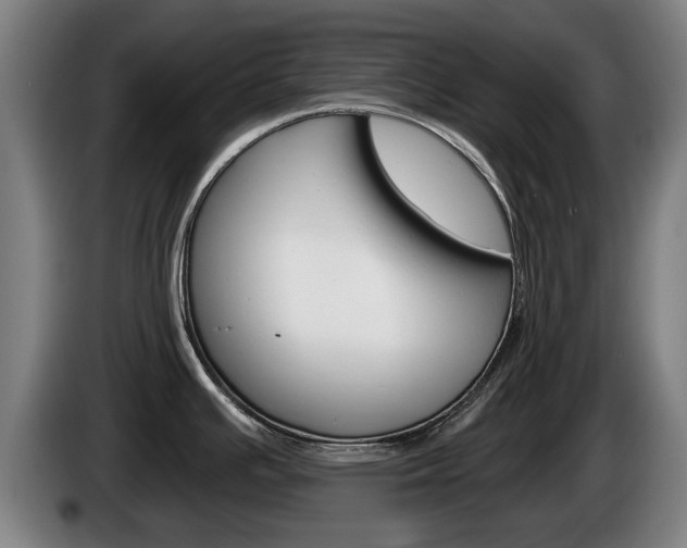 X0000085221391200703090818