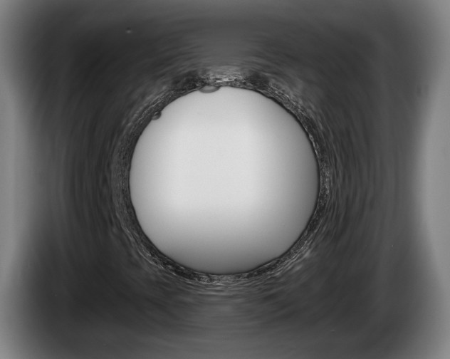 X0000085221393200703090818