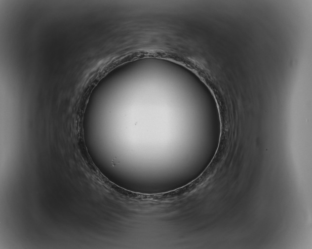 X0000085221398200703090818