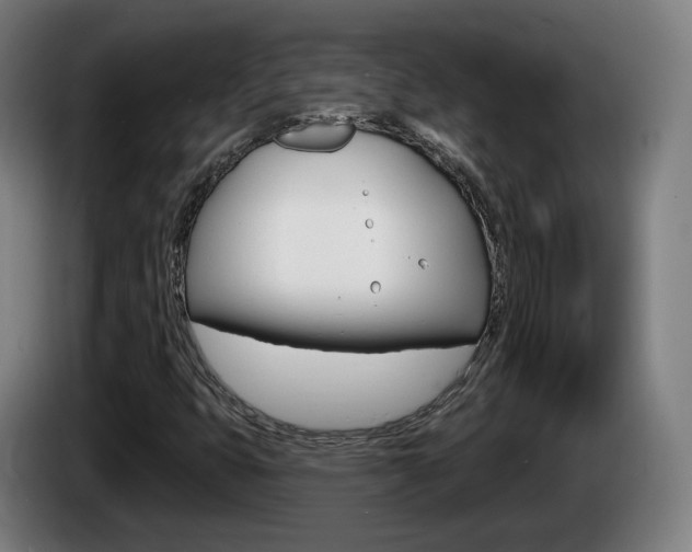 X0000085221399200703090818