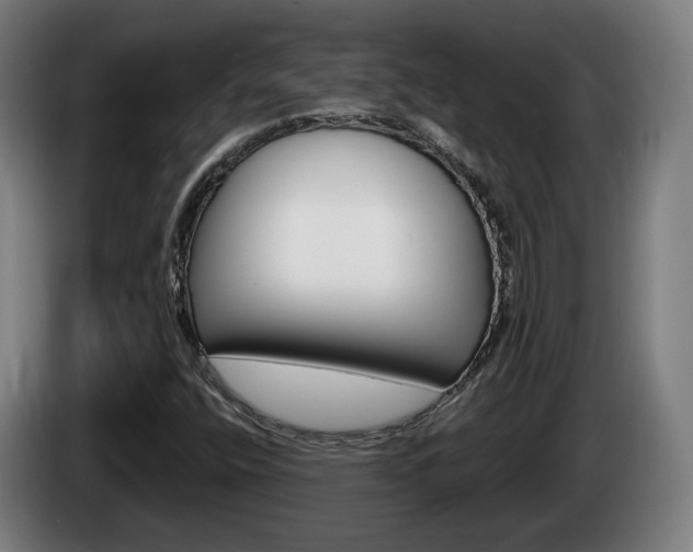 X0000085221400200703090818