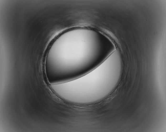 X0000085221412200703090818