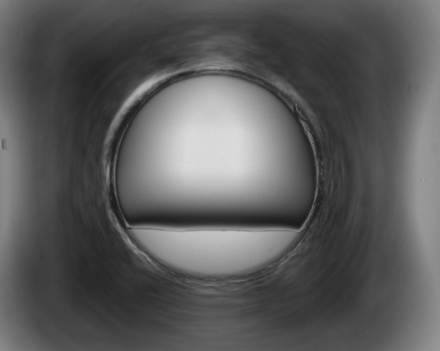 X0000085221416200703090818