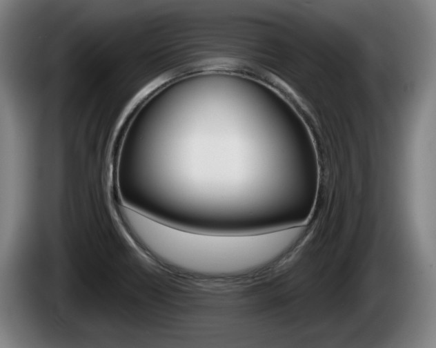 X0000085221418200703090818