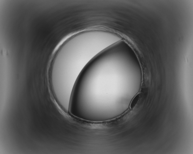 X0000085221422200703090818