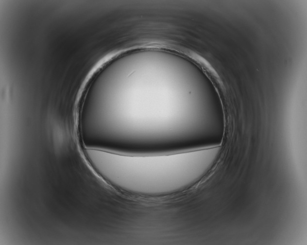 X0000085221424200703090818