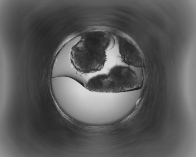 X0000085221425200703090818