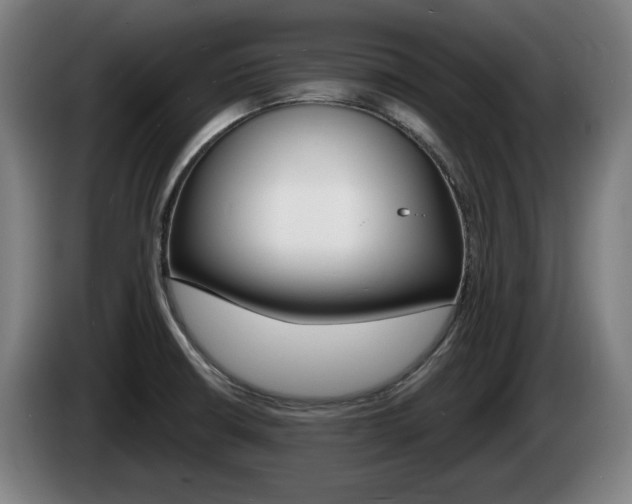 X0000085221426200703090818