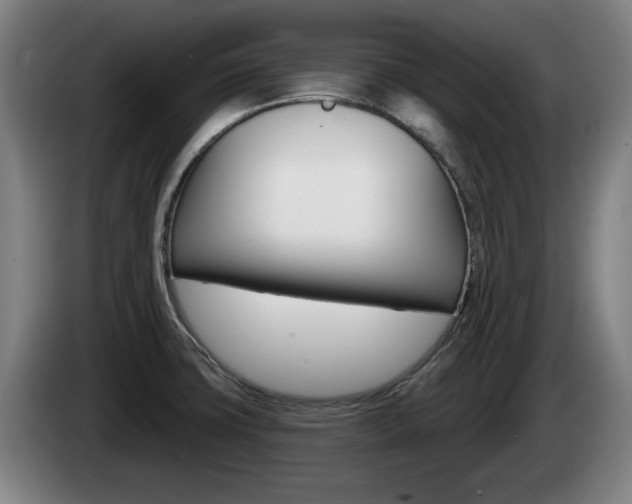 X0000085221427200703090818