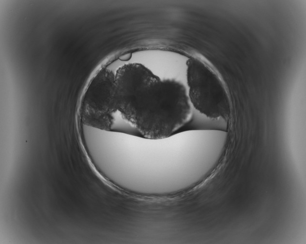 X0000085221429200703090818