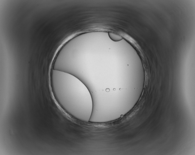 X0000085221431200703090818