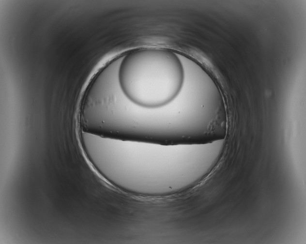 X0000085221432200703090818