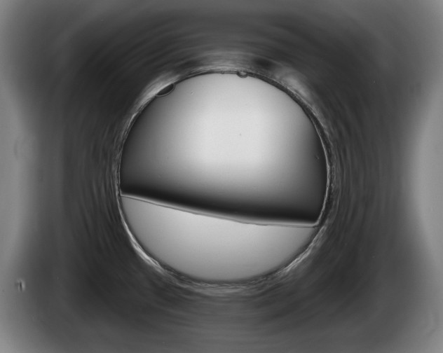 X0000085221433200703090818