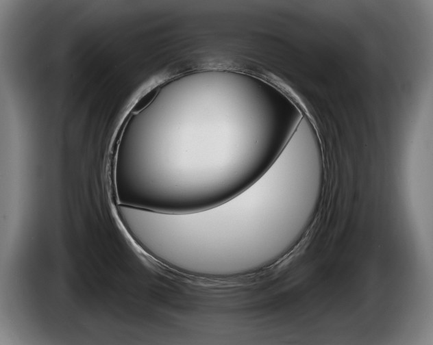 X0000085221434200703090818