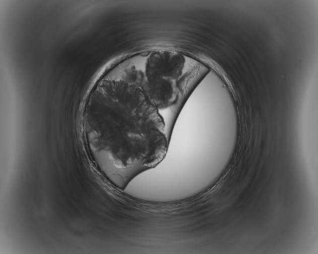 X0000085221435200703090818