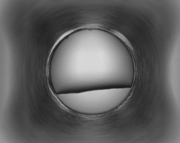 X0000085221436200703090818