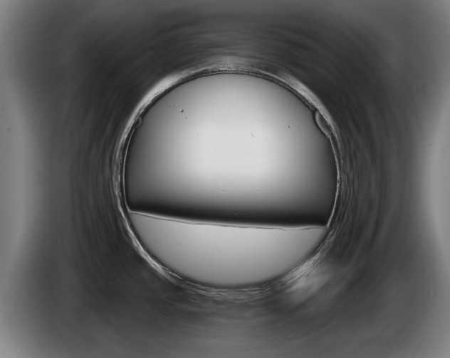 X0000085221437200703090818