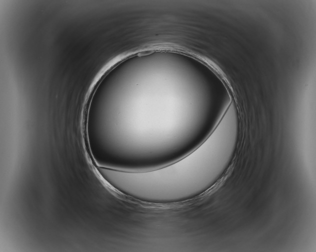 X0000085221438200703090818