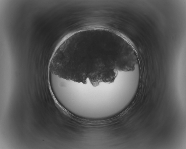 X0000085221439200703090818