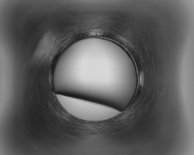 X0000085221444200703090818