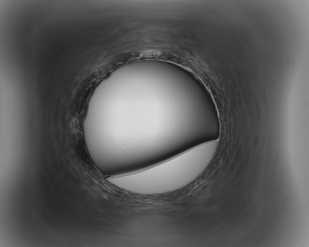 X0000085221445200703090818