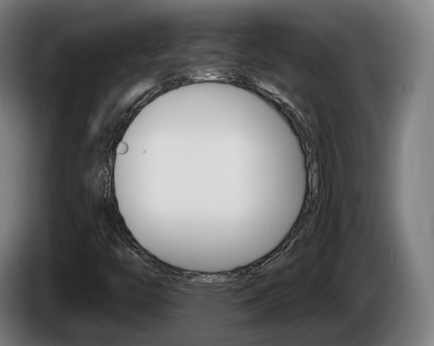 X0000085221446200703090818