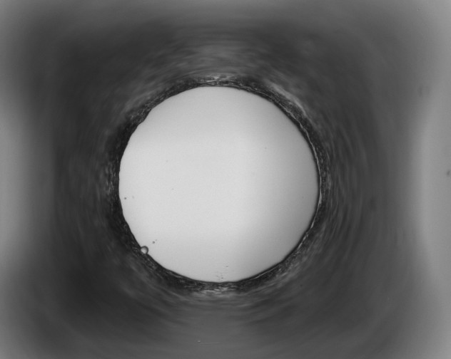 X0000085221447200703090818