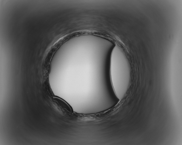 X0000085221448200703090818