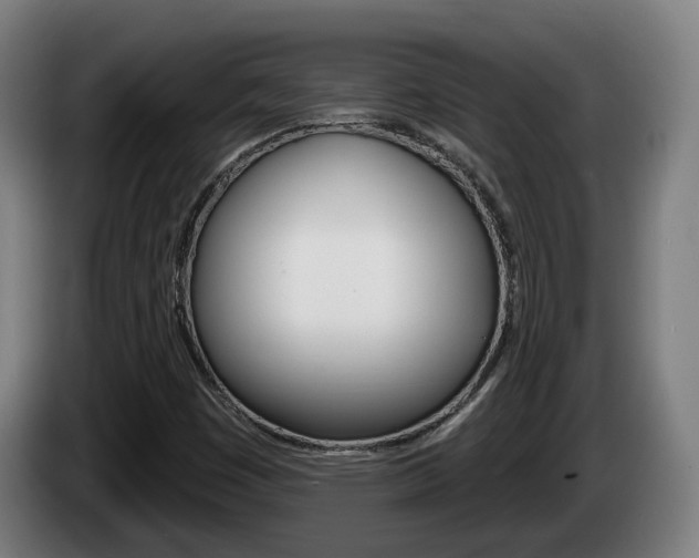 X0000085221449200703090818