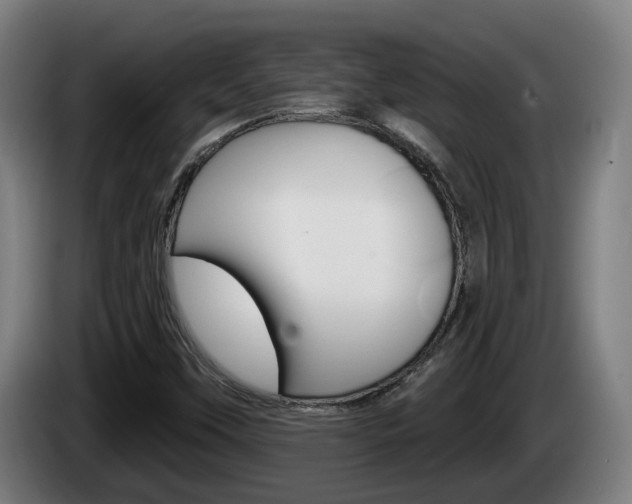 X0000085221451200703090818