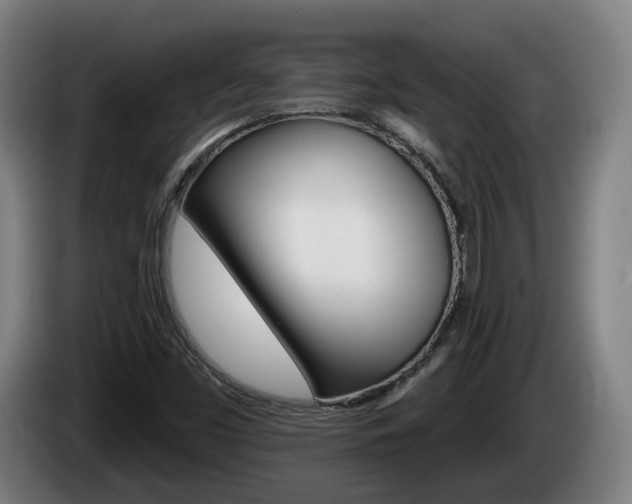 X0000085221453200703090818