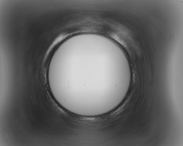 X0000085221454200703090818