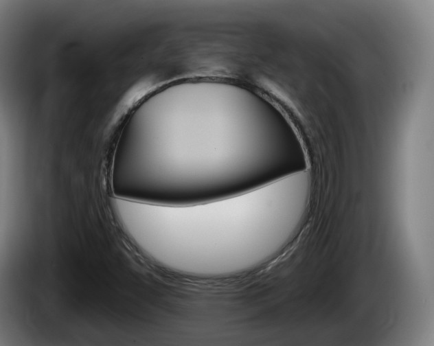 X0000085221455200703090818
