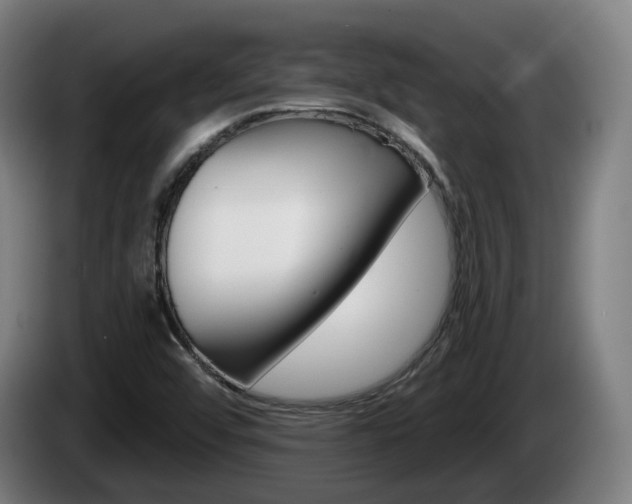 X0000085221456200703090818