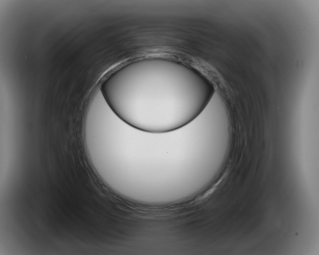 X0000085221457200703090818