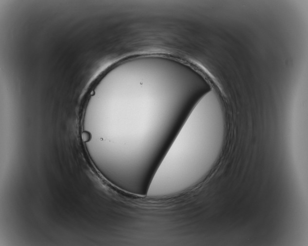 X0000085221460200703090817