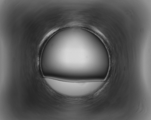 X0000085221461200703090817
