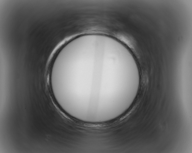 X0000085221462200703090817