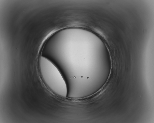 X0000085221463200703090817