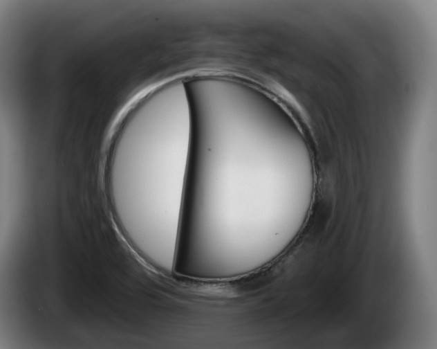 X0000085221464200703090817
