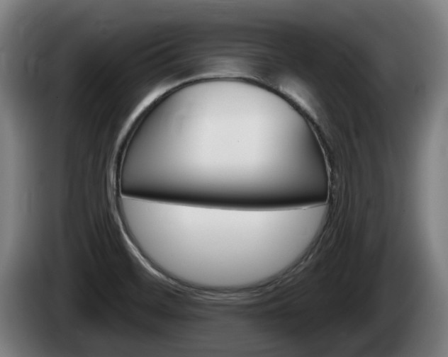 X0000085221468200703090817