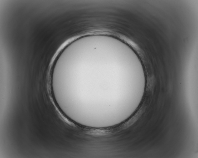 X0000085221470200703090817
